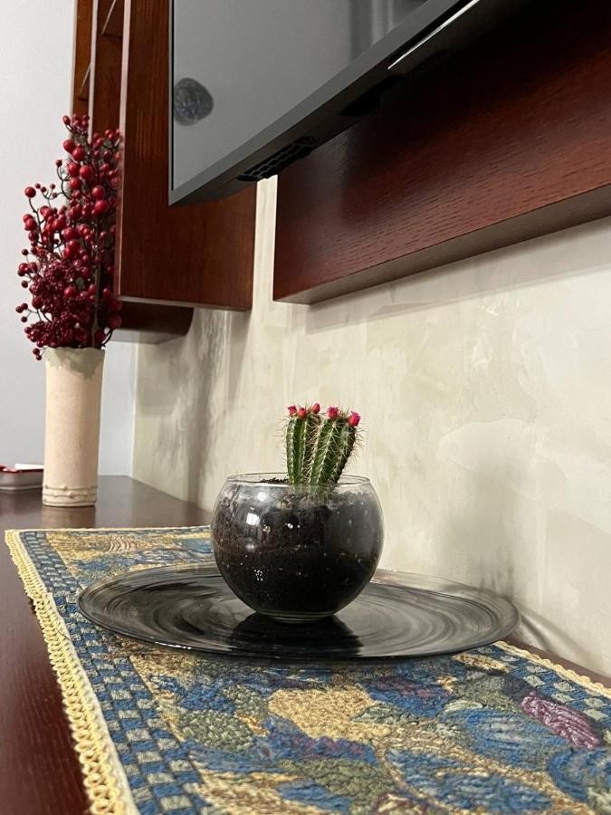Cozy Nest Ledi Apartment Tirana Exterior photo